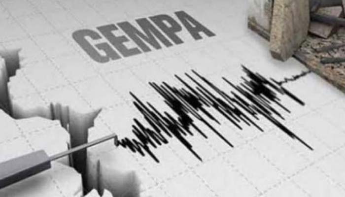 Gempa Bumi Hari Ini Magnitudo 4 Guncang Larantuka NTT